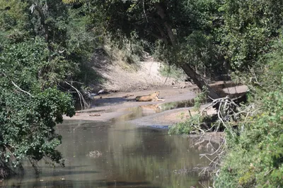 DSC_3662 (Large).JPG